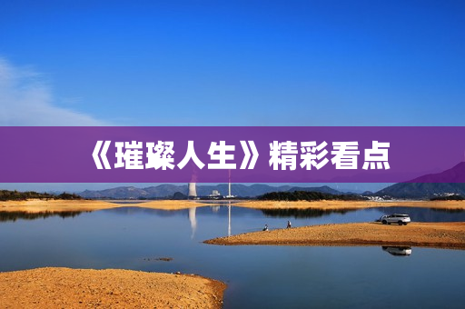 《璀璨人生》精彩看点