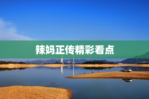 辣妈正传精彩看点