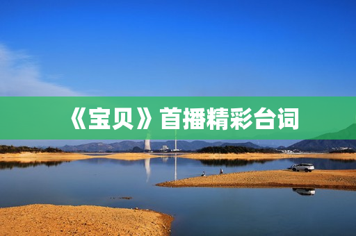 《宝贝》首播精彩台词