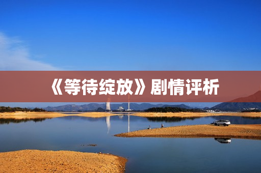 《等待绽放》剧情评析