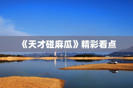《天才碰麻瓜》精彩看点