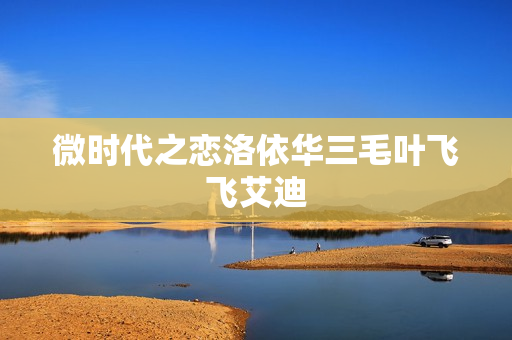 微时代之恋洛依华三毛叶飞飞艾迪