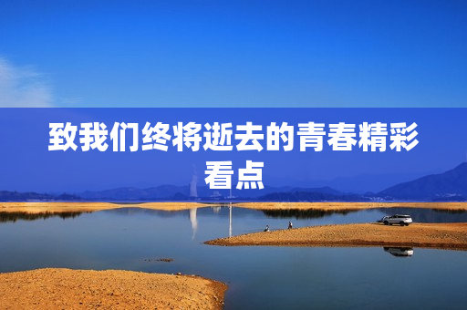 致我们终将逝去的青春精彩看点