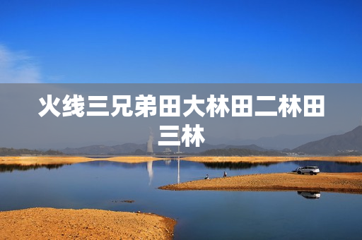火线三兄弟田大林田二林田三林