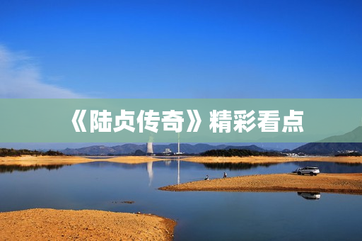 《陆贞传奇》精彩看点