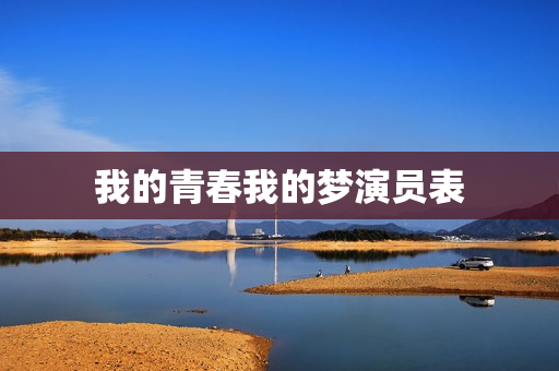我的青春我的梦演员表