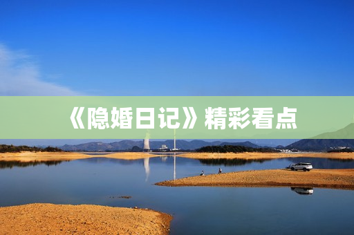 《隐婚日记》精彩看点