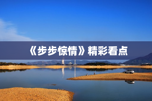 《步步惊情》精彩看点