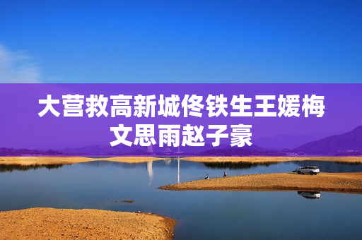 大营救高新城佟铁生王媛梅文思雨赵子豪