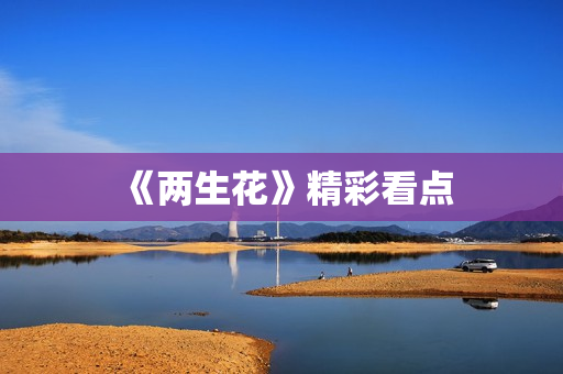 《两生花》精彩看点