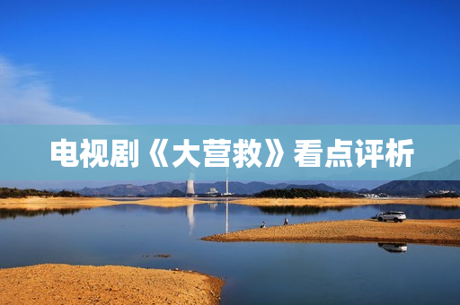 电视剧《大营救》看点评析