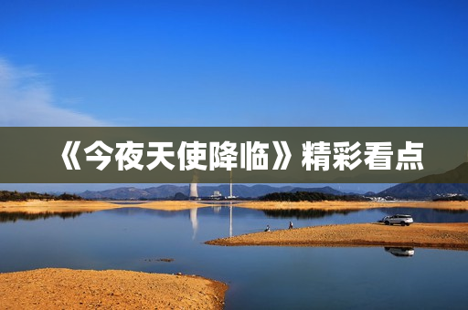 《今夜天使降临》精彩看点