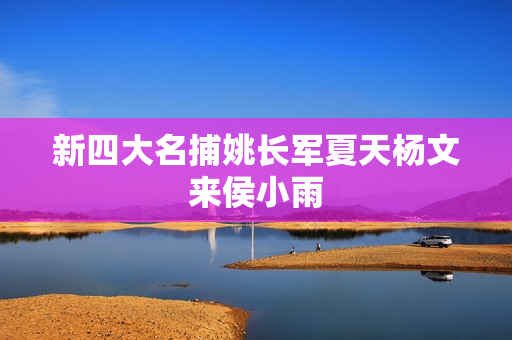 新四大名捕姚长军夏天杨文来侯小雨