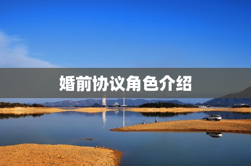 婚前协议角色介绍
