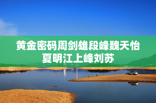 黄金密码周剑雄段峰魏天怡夏明江上峰刘苏