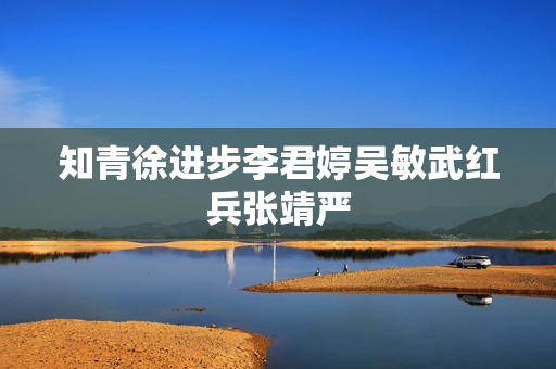 知青徐进步李君婷吴敏武红兵张靖严