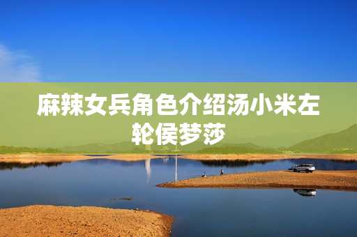 麻辣女兵角色介绍汤小米左轮侯梦莎