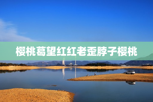 樱桃葛望红红老歪脖子樱桃