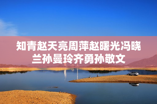知青赵天亮周萍赵曙光冯晓兰孙曼玲齐勇孙敬文