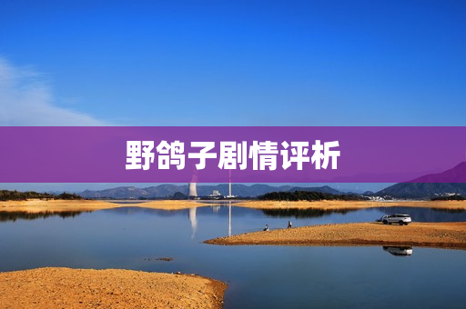 野鸽子剧情评析