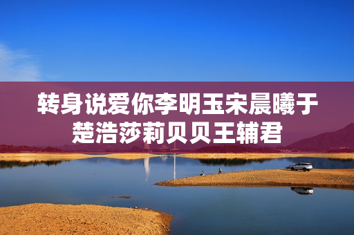 转身说爱你李明玉宋晨曦于楚浩莎莉贝贝王辅君