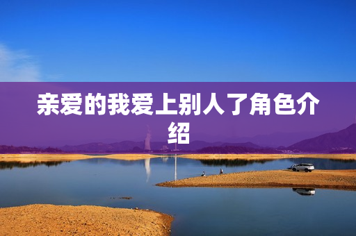 亲爱的我爱上别人了角色介绍