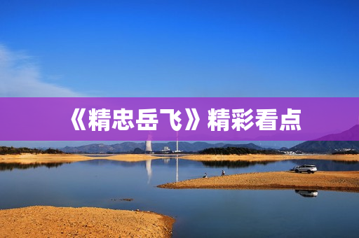 《精忠岳飞》精彩看点