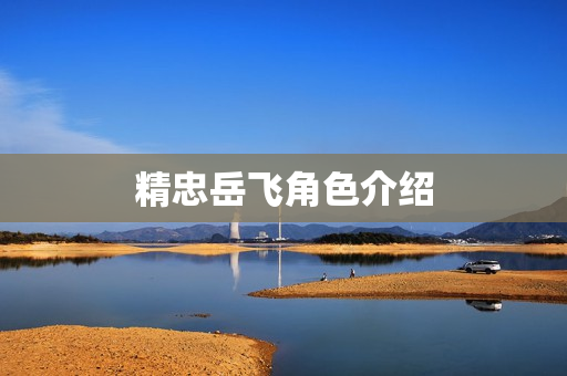 精忠岳飞角色介绍