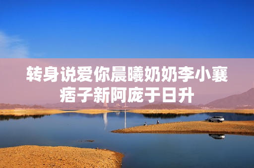 转身说爱你晨曦奶奶李小襄痞子新阿庞于日升