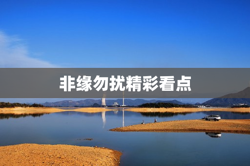 非缘勿扰精彩看点