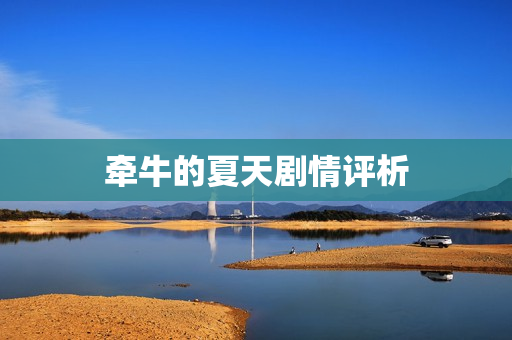 牵牛的夏天剧情评析