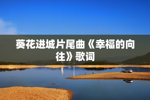 葵花进城片尾曲《幸福的向往》歌词