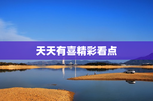天天有喜精彩看点