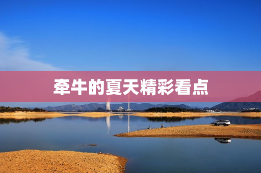 牵牛的夏天精彩看点