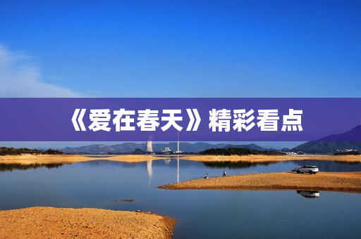 《爱在春天》精彩看点
