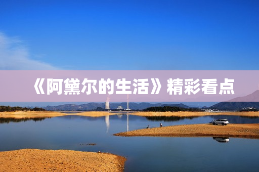《阿黛尔的生活》精彩看点