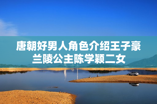 唐朝好男人角色介绍王子豪兰陵公主陈学颖二女