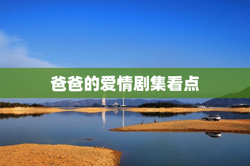 爸爸的爱情剧集看点