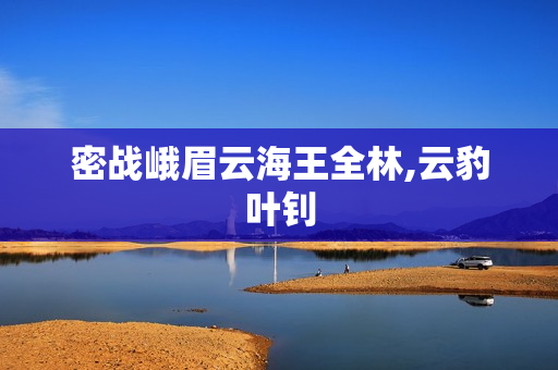 密战峨眉云海王全林,云豹叶钊