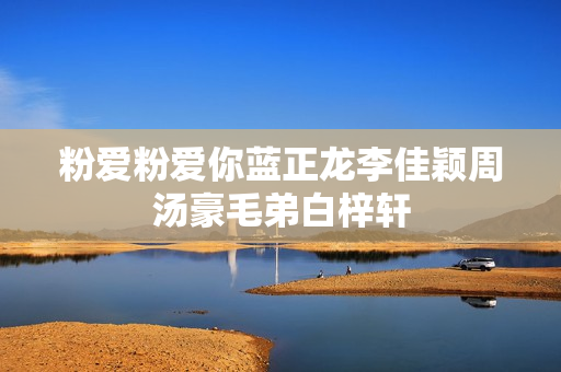 粉爱粉爱你蓝正龙李佳颖周汤豪毛弟白梓轩