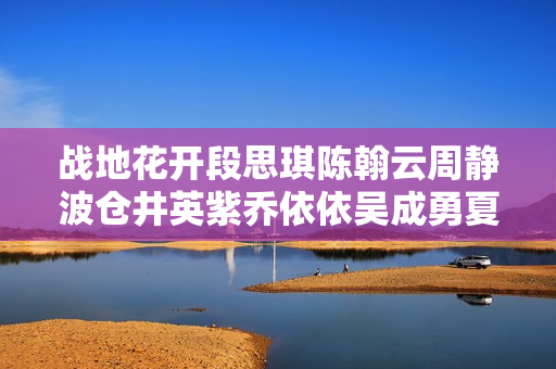 战地花开段思琪陈翰云周静波仓井英紫乔依依吴成勇夏志刚