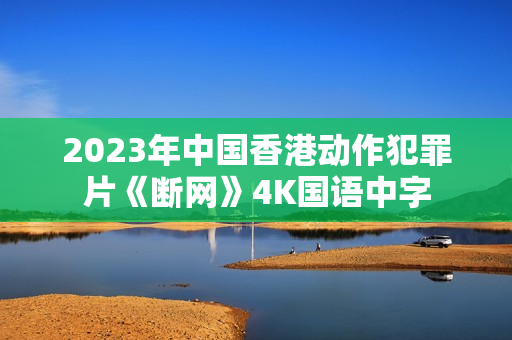 2023年中国香港动作犯罪片《断网》4K国语中字