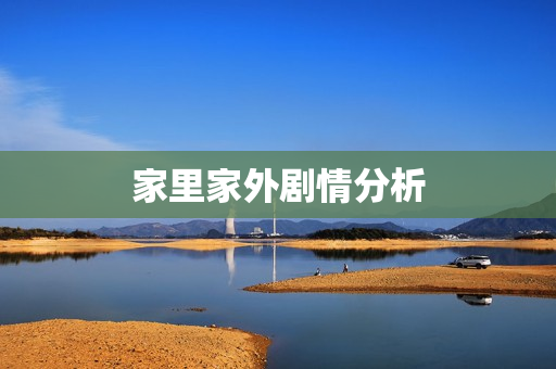 家里家外剧情分析