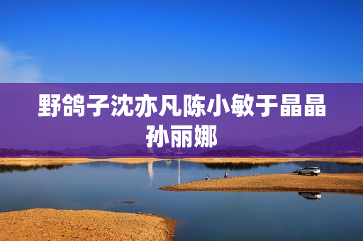 野鸽子沈亦凡陈小敏于晶晶孙丽娜