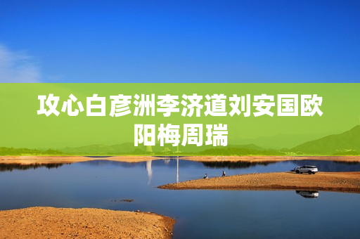 攻心白彦洲李济道刘安国欧阳梅周瑞