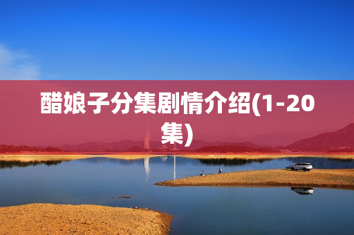 醋娘子分集剧情介绍(1-20集)