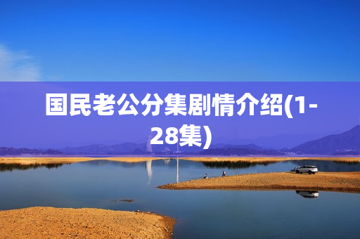 国民老公分集剧情介绍(1-28集)