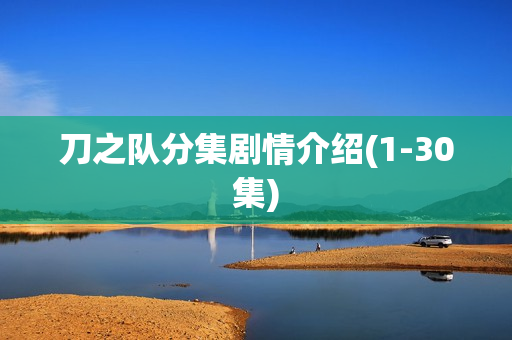 刀之队分集剧情介绍(1-30集)