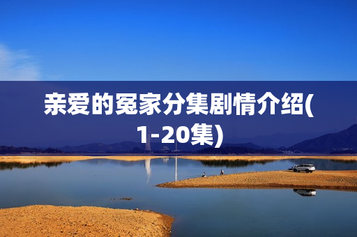 亲爱的冤家分集剧情介绍(1-20集)