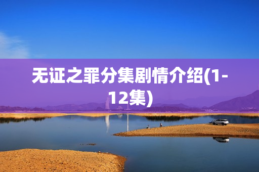 无证之罪分集剧情介绍(1-12集)